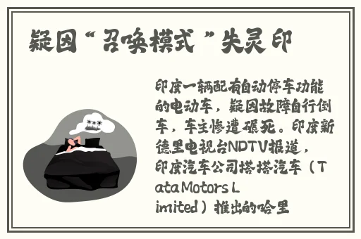 日本一本dao道网站